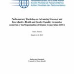 Background Document: Parliamentary Workshop on Advancing Maternal and Reproductive Health and Gender Equality in OIC member countries